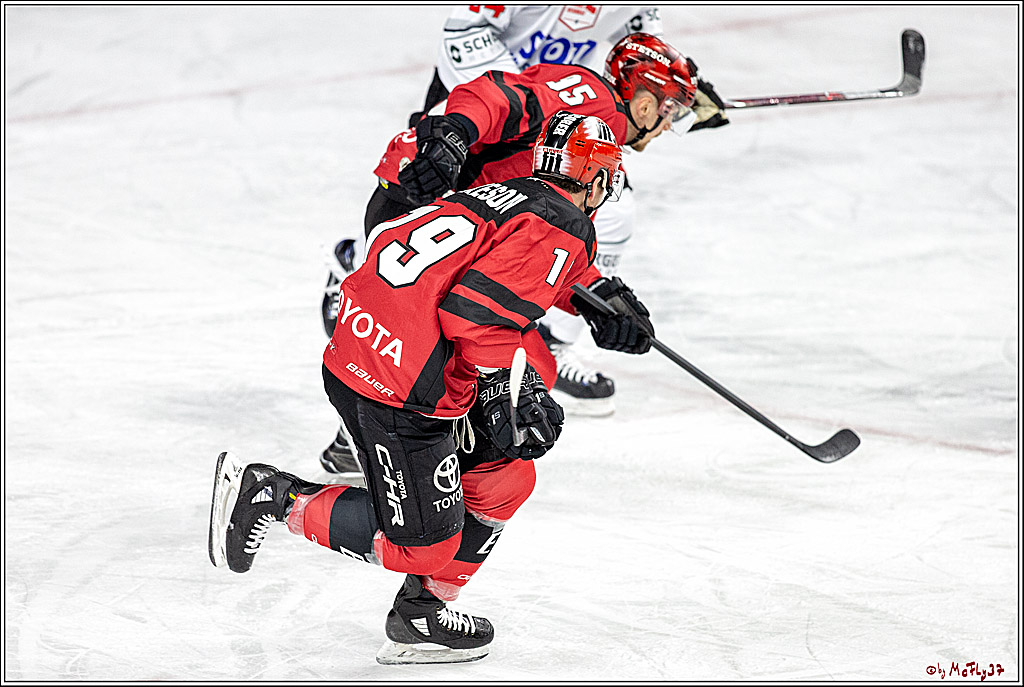 DEL; Koelner Haie - Schwenninger Wild Wings, 06.12.2018